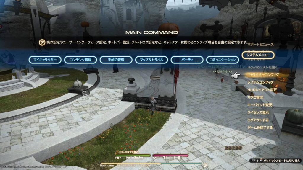 Ff14 他人やミニオンのネームプレート 名前 称号 を非表示にする方法